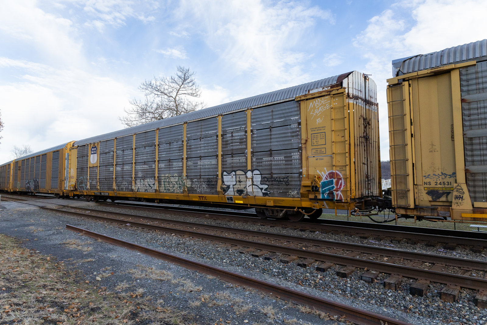 TTGX 961599