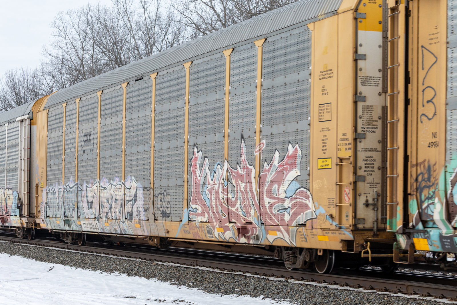 TTGX 716143