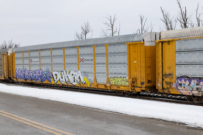 TTGX 707817
