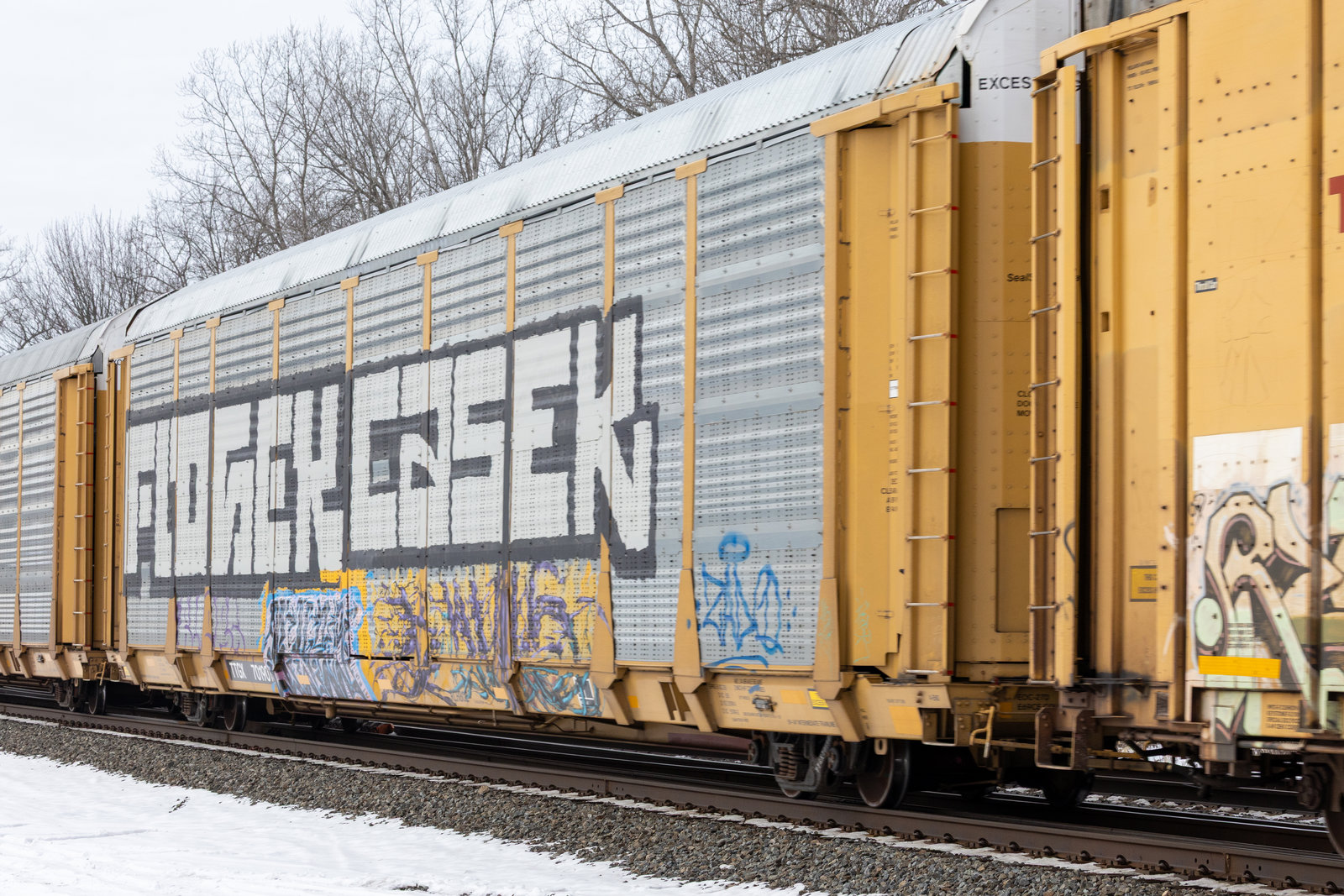 TTGX 701901