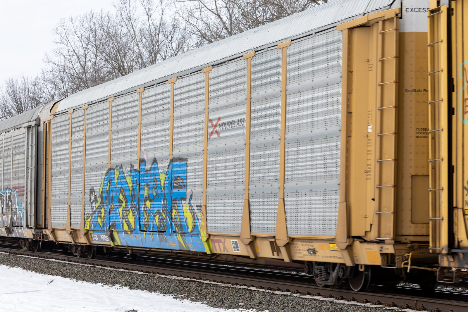 TTGX 701819