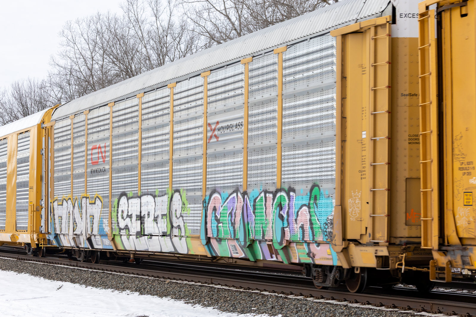 TTGX 708911