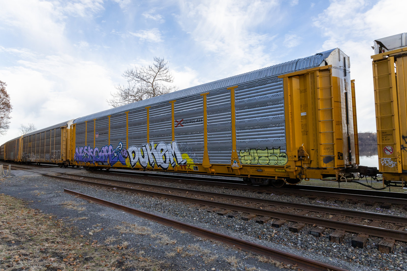 TTGX 707817