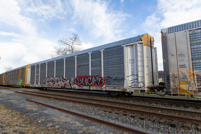 TTGX 707780