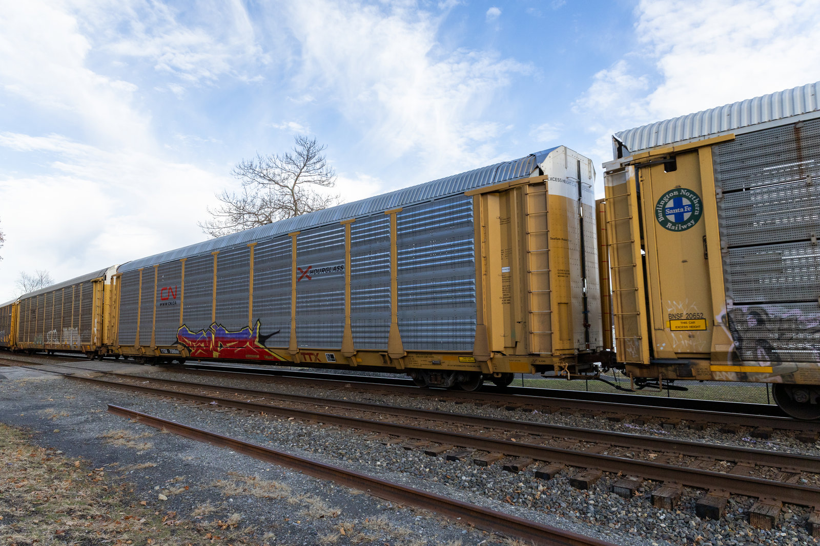 TTGX 708866