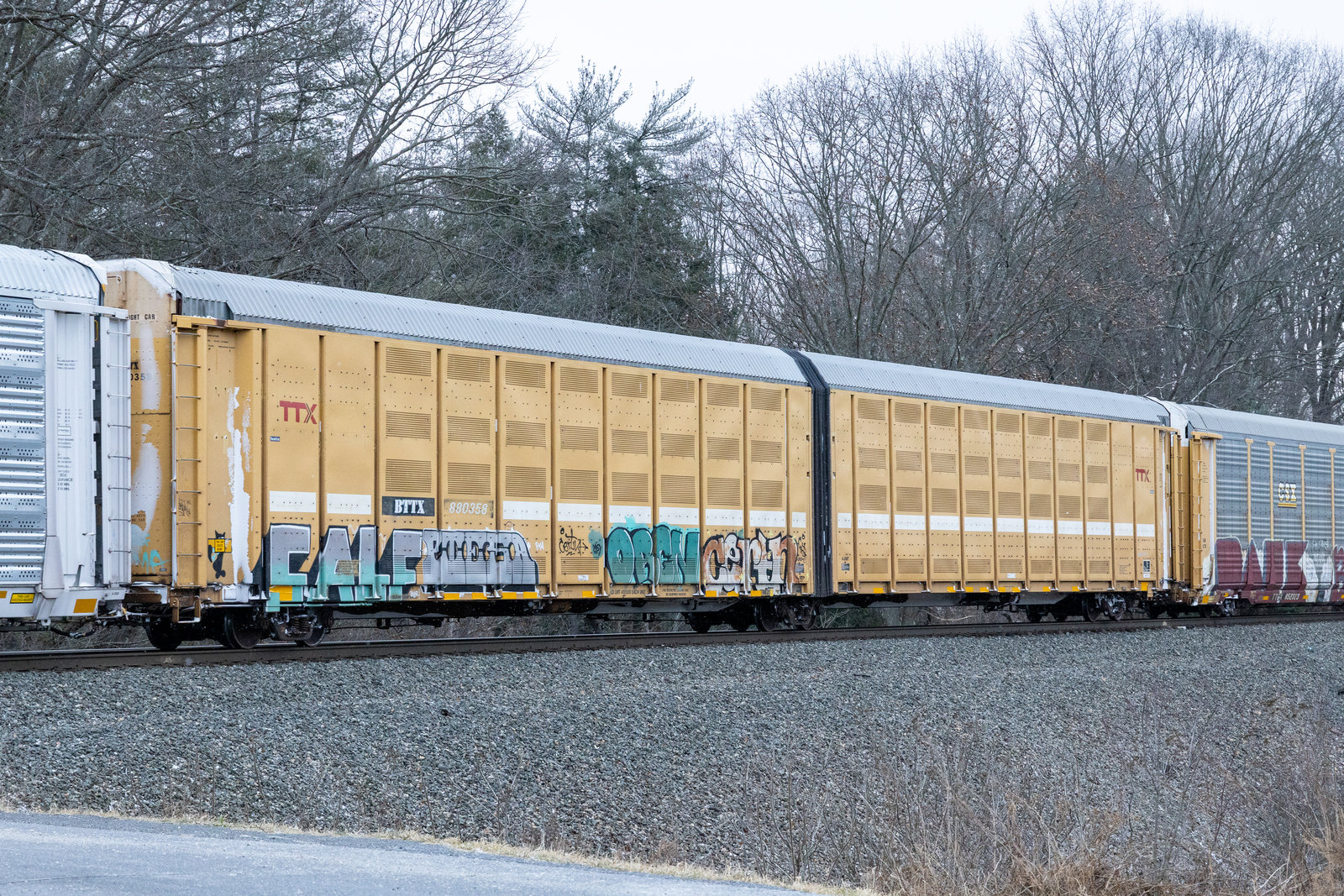 BTTX 880358