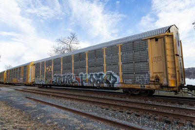 CNA 712474