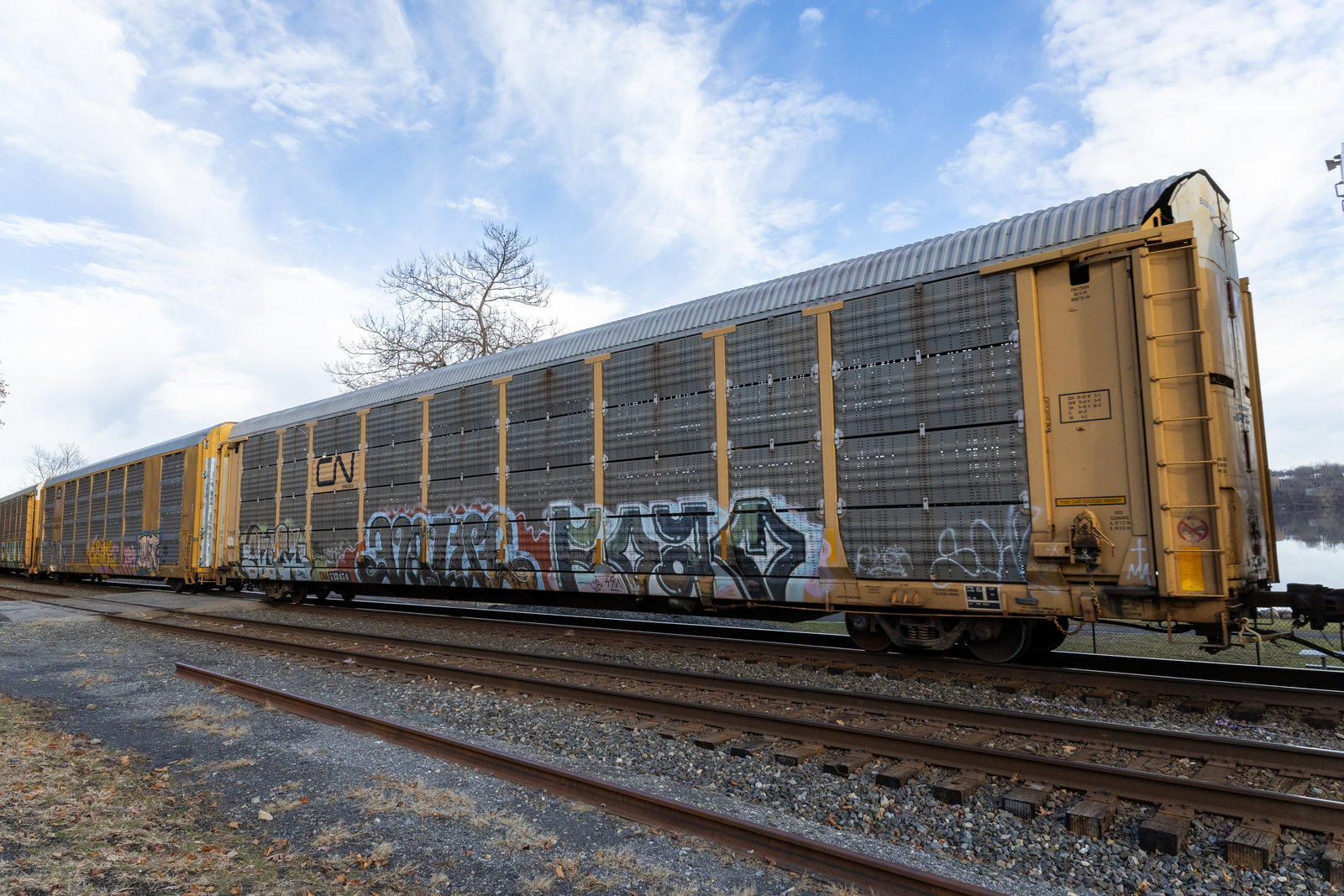 CNA 712474