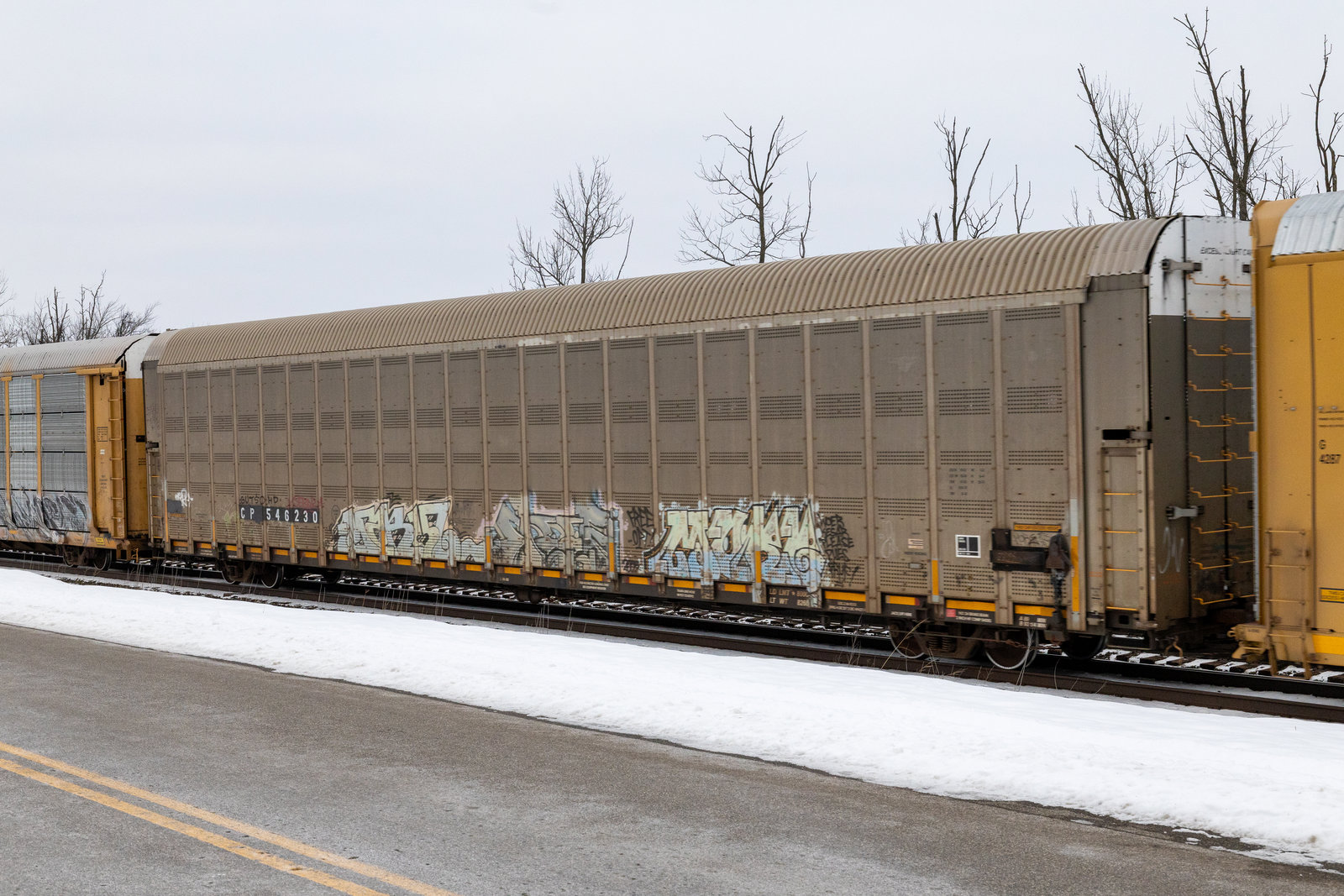 CP 546230