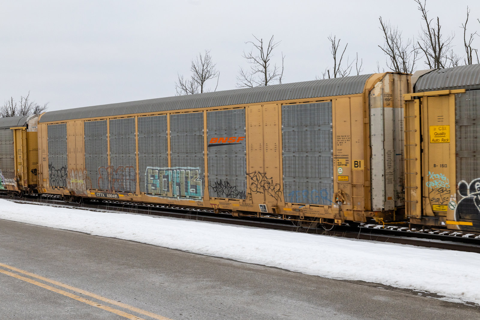 CTTX 690481