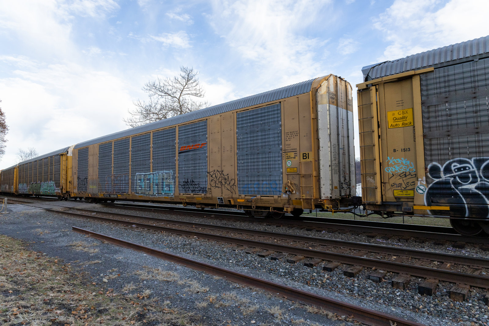 CTTX 690481
