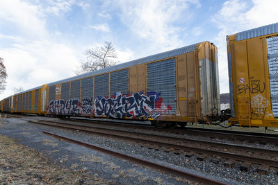 CTTX 694247