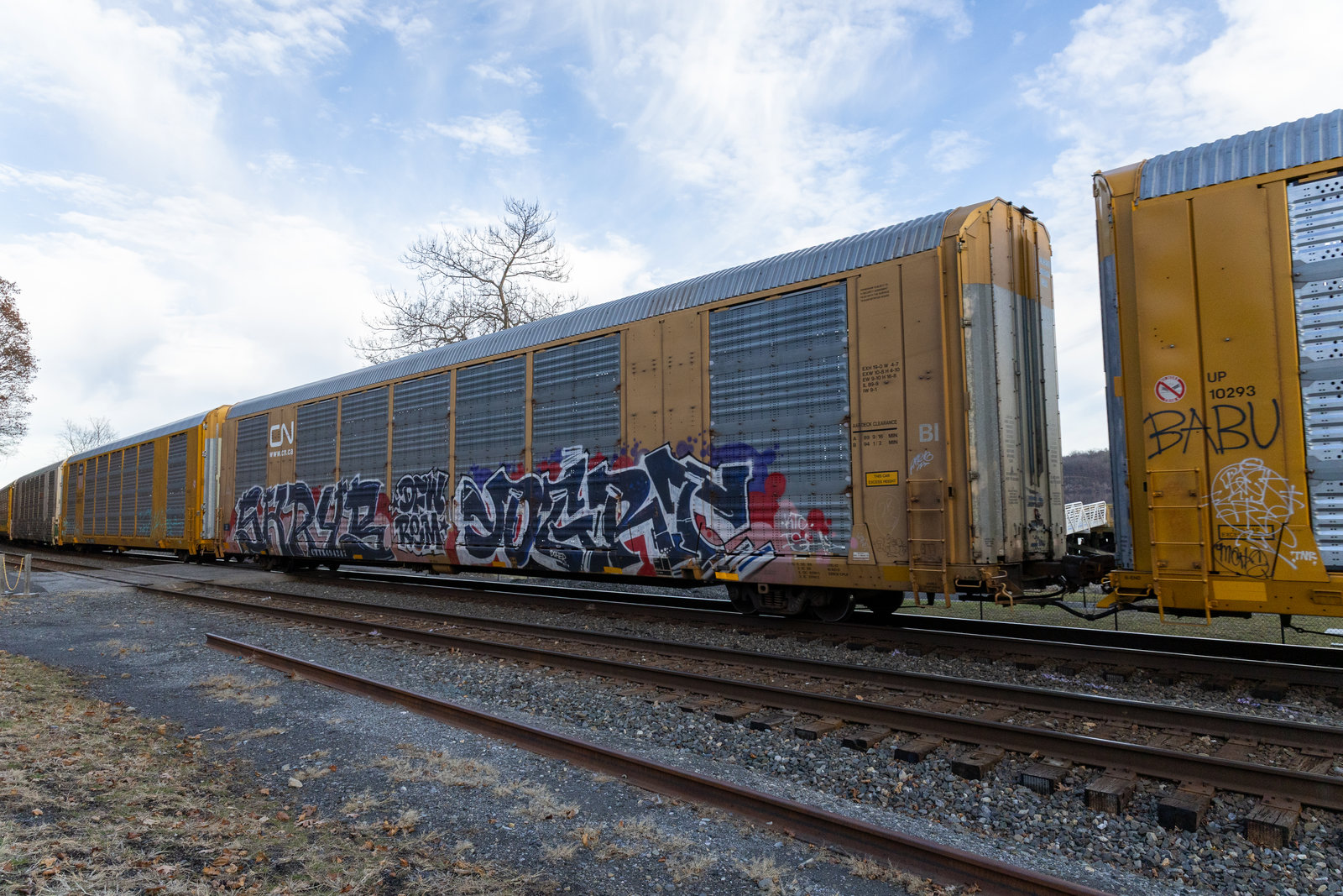 CTTX 694247