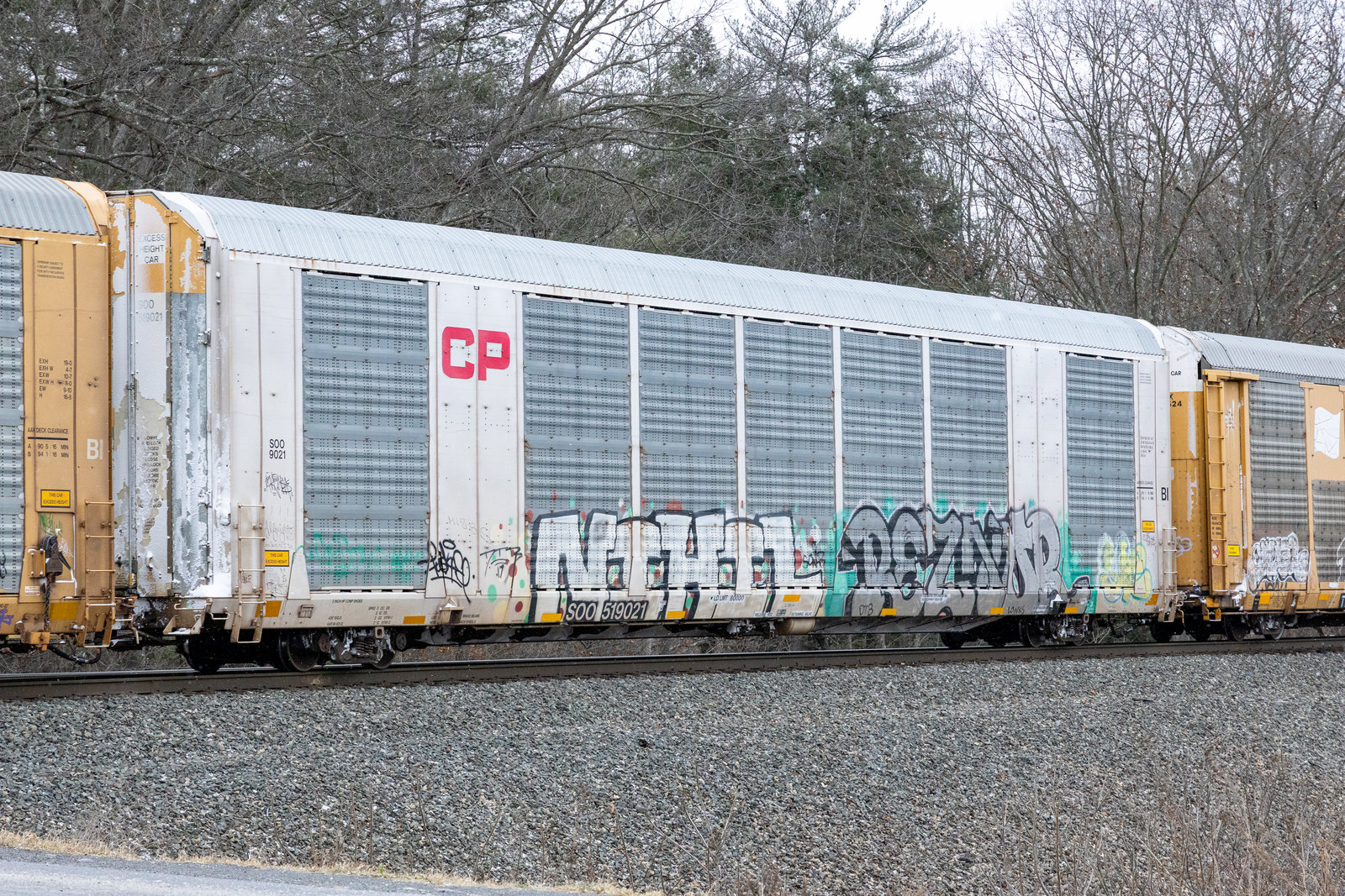 SOO 519021