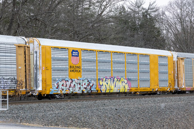 TTGX 698806