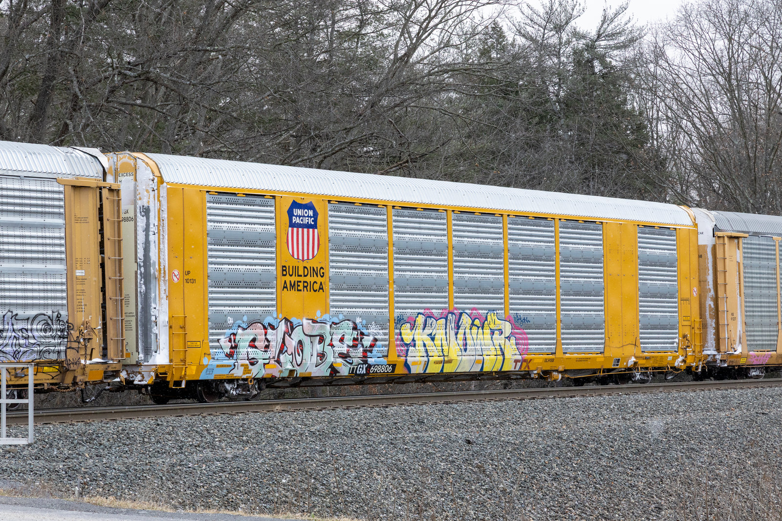TTGX 698806