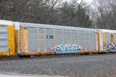 TTGX 704438