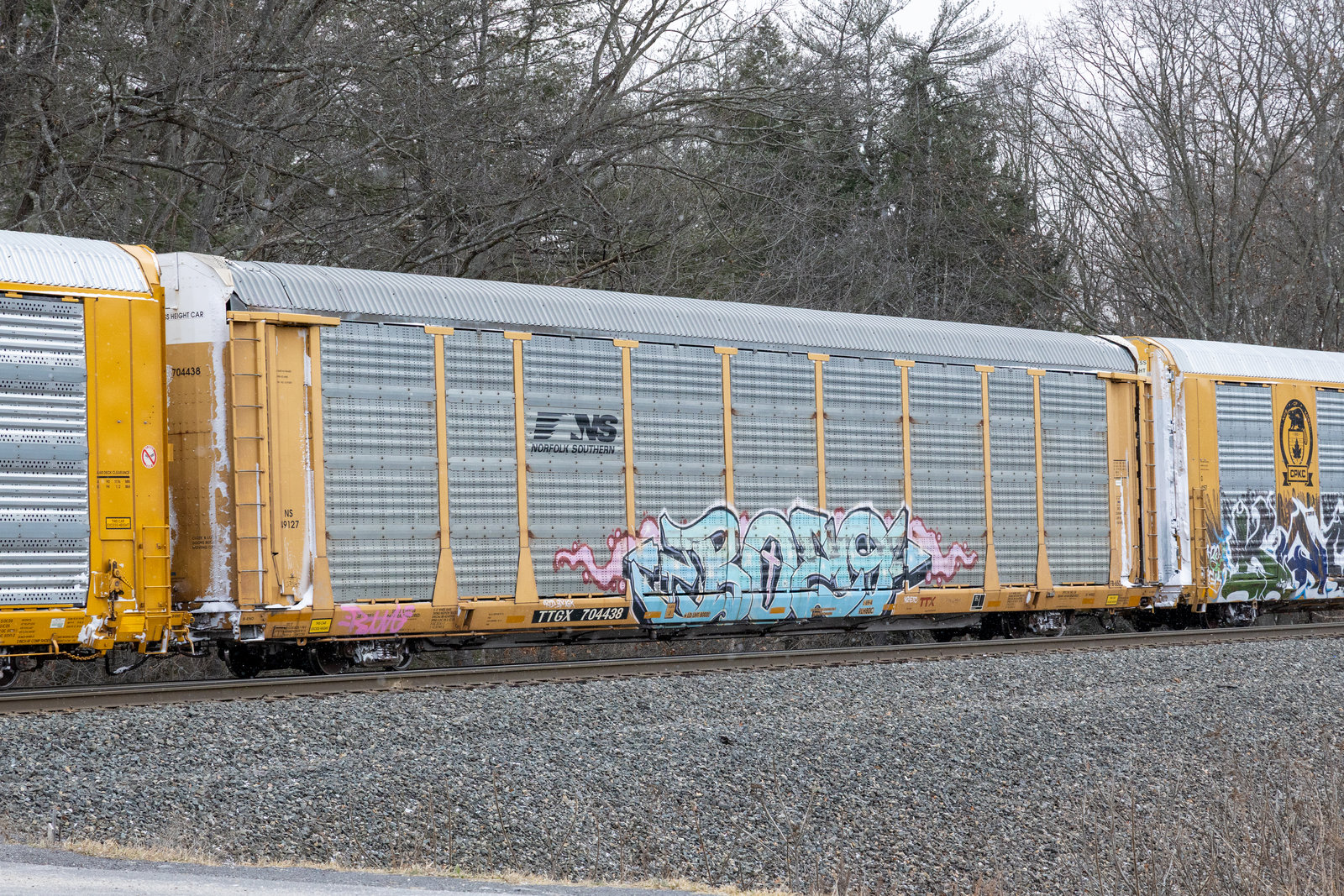 TTGX 704438