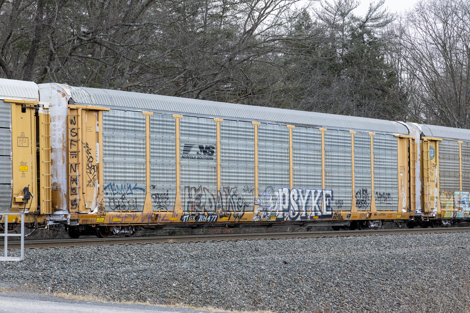 TTGX 704477