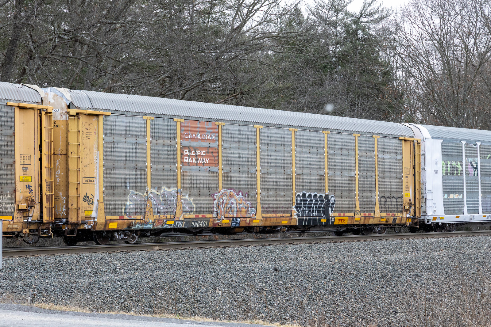 TTGX 996491