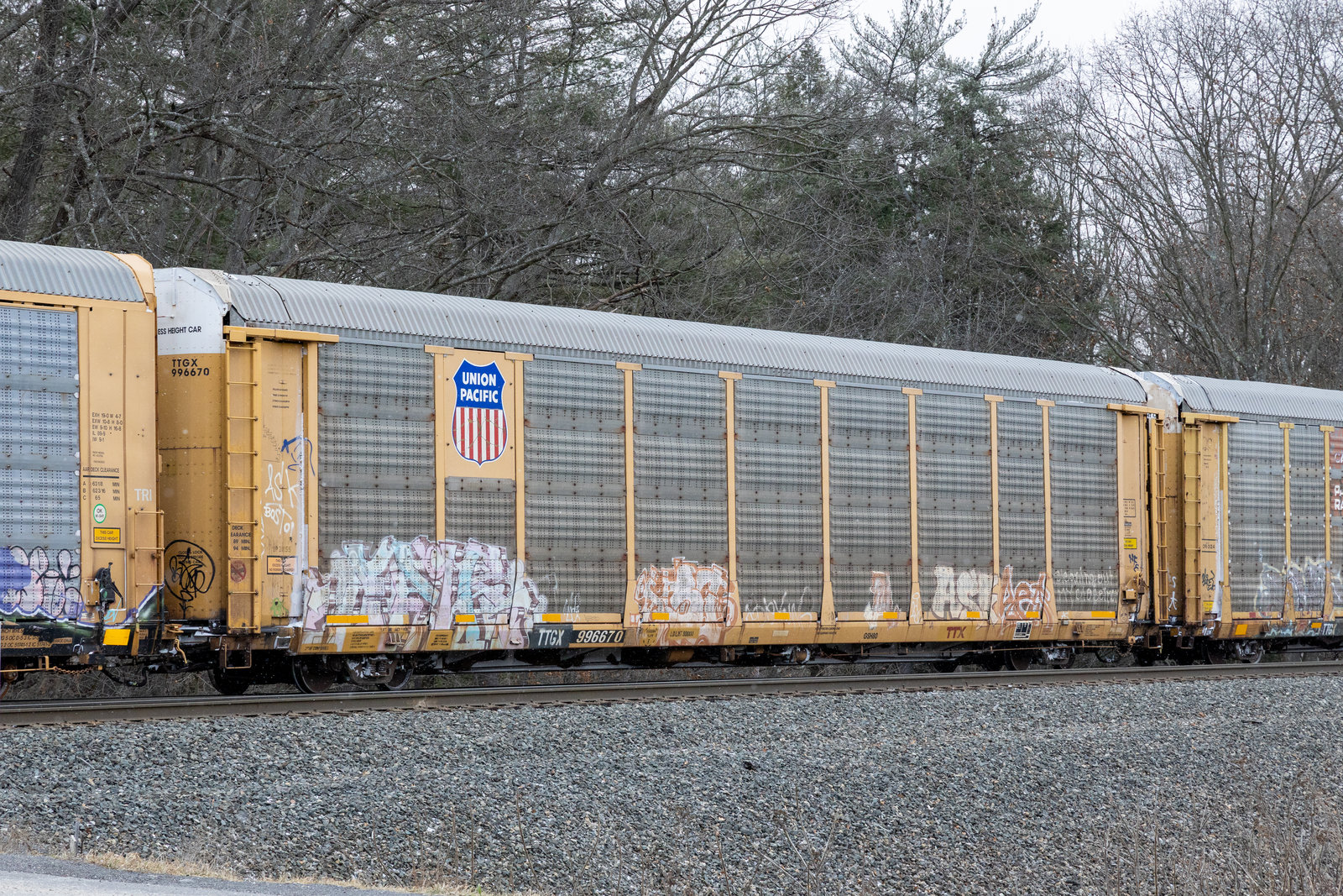 TTGX 996670