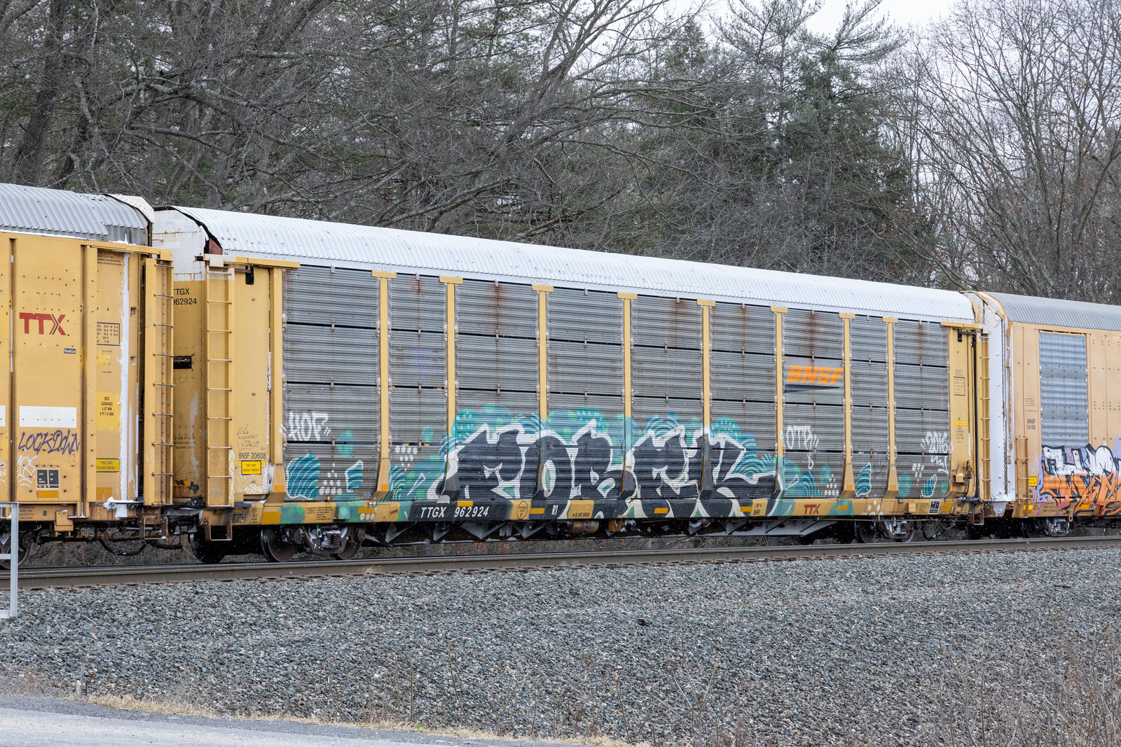TTGX 962924