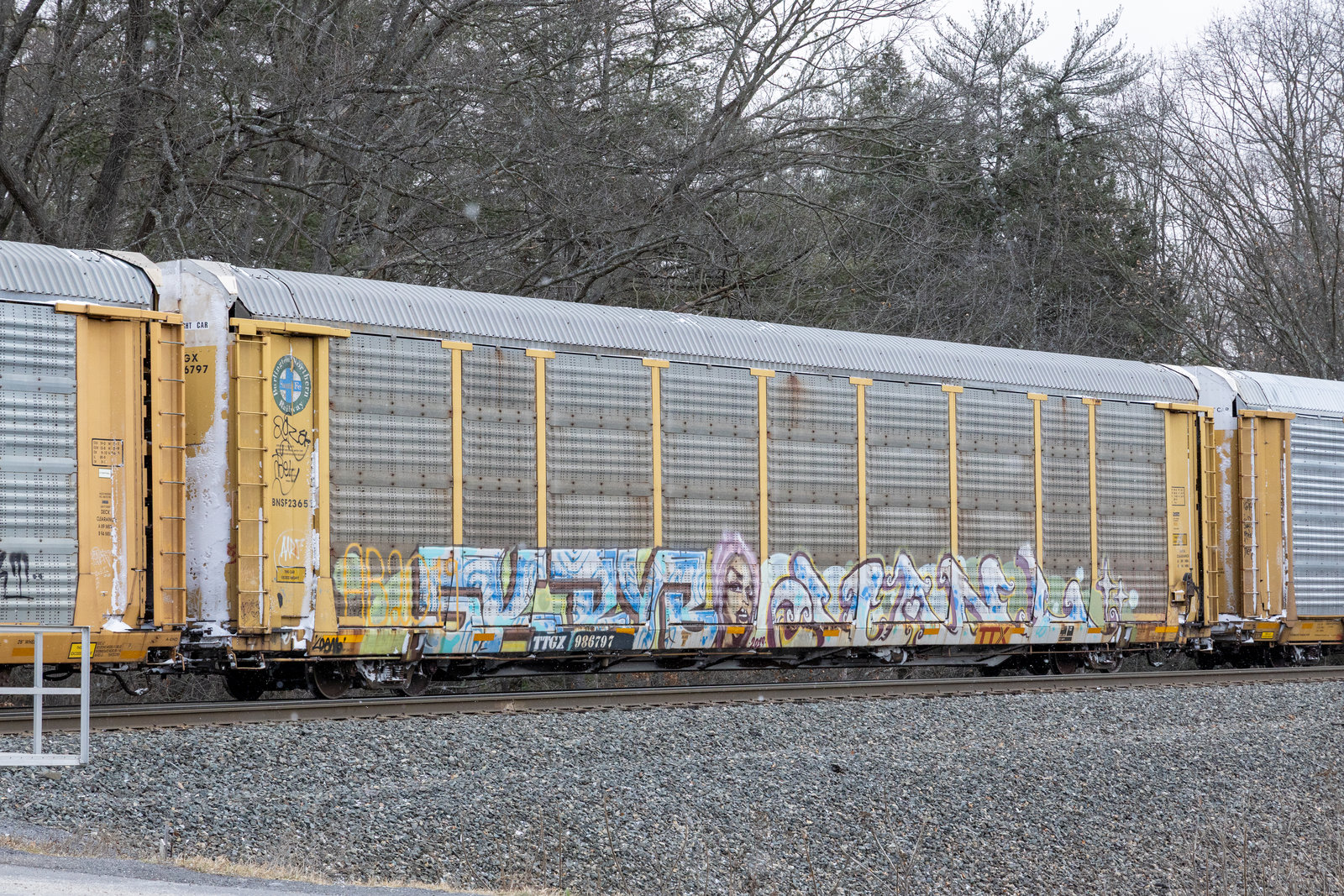 TTGX 986797
