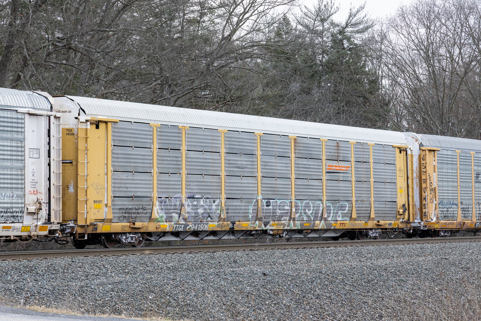 TTGX 941506