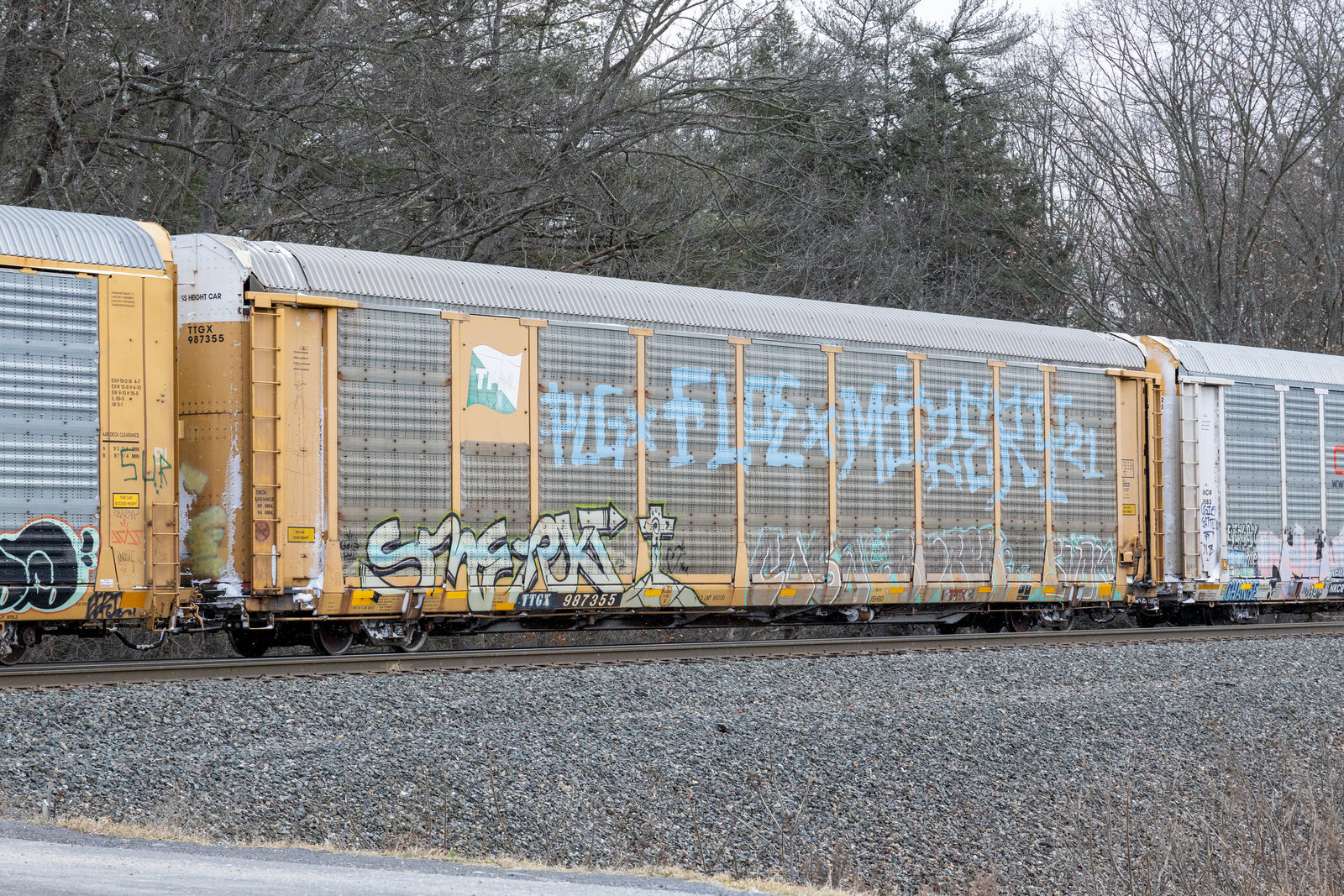 TTGX 987355