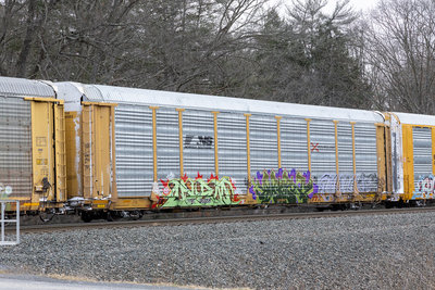 TTGX 708582