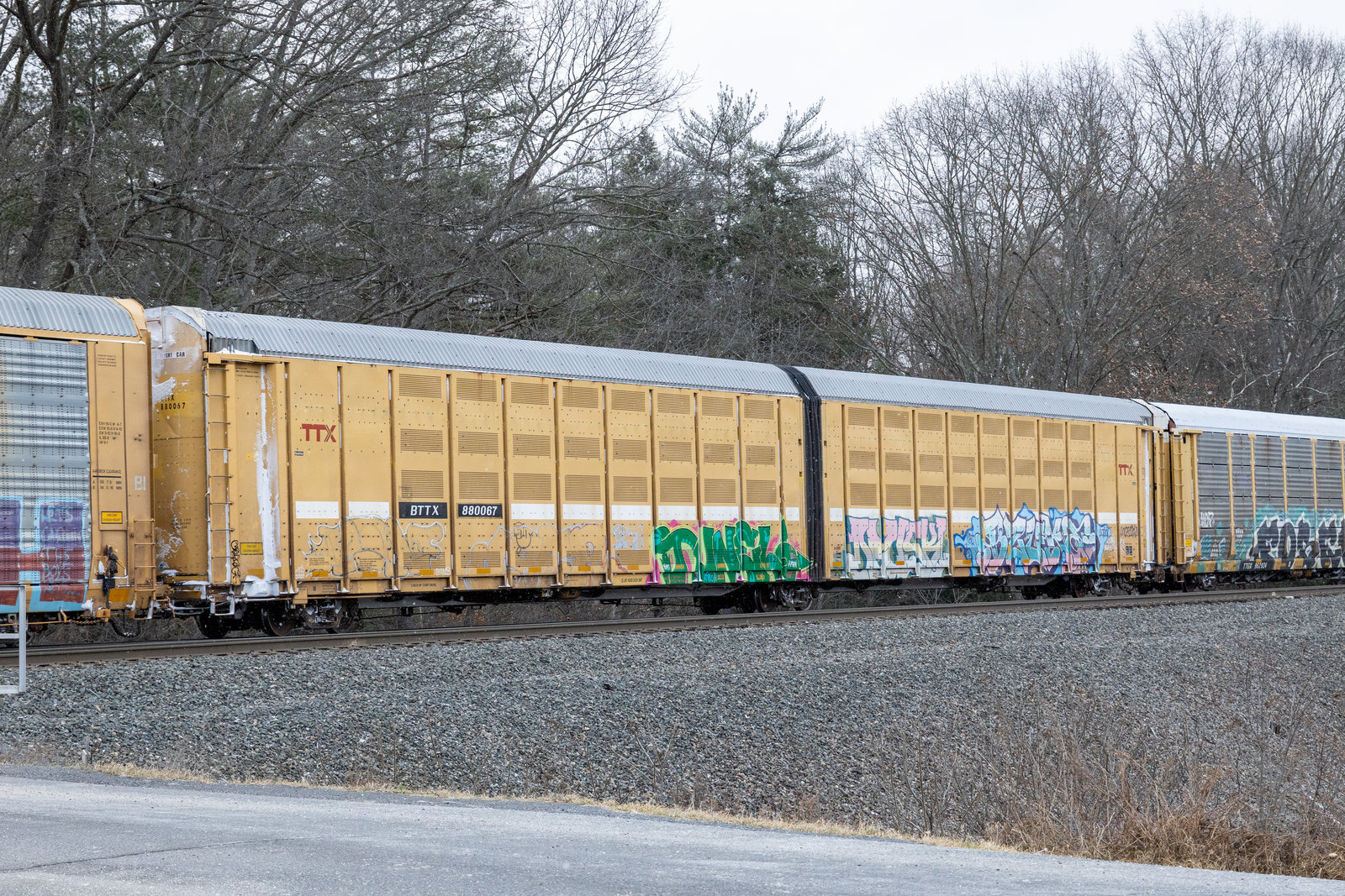 BTTX 880067