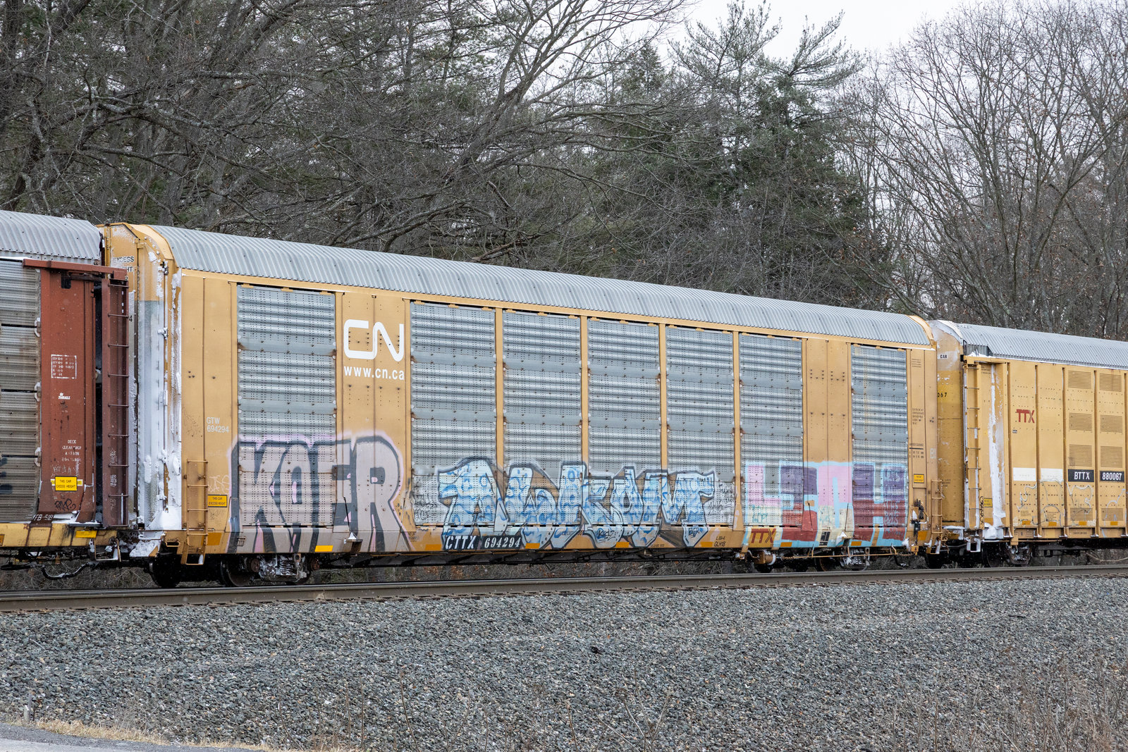 CTTX 694294