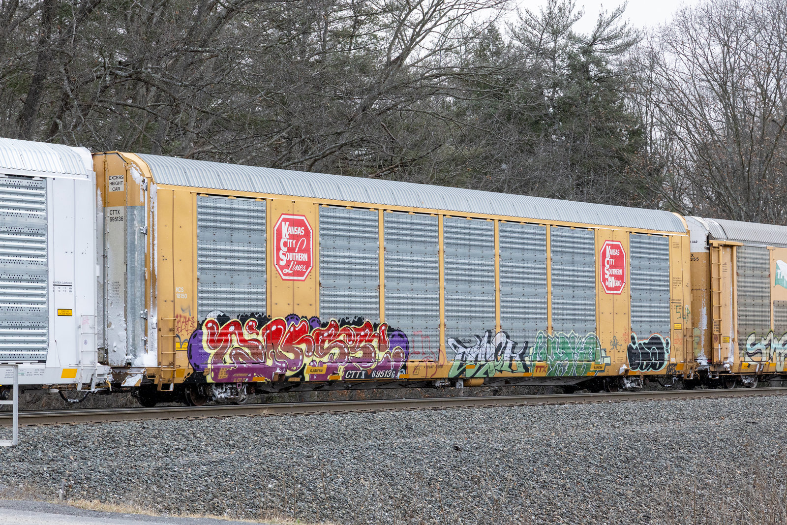 CTTX 695136