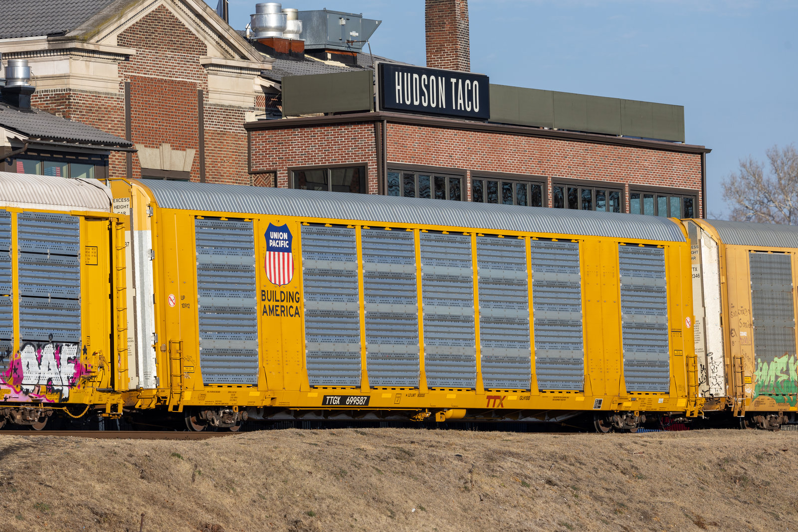 TTGX 699587