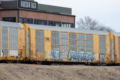 TTGX 695473