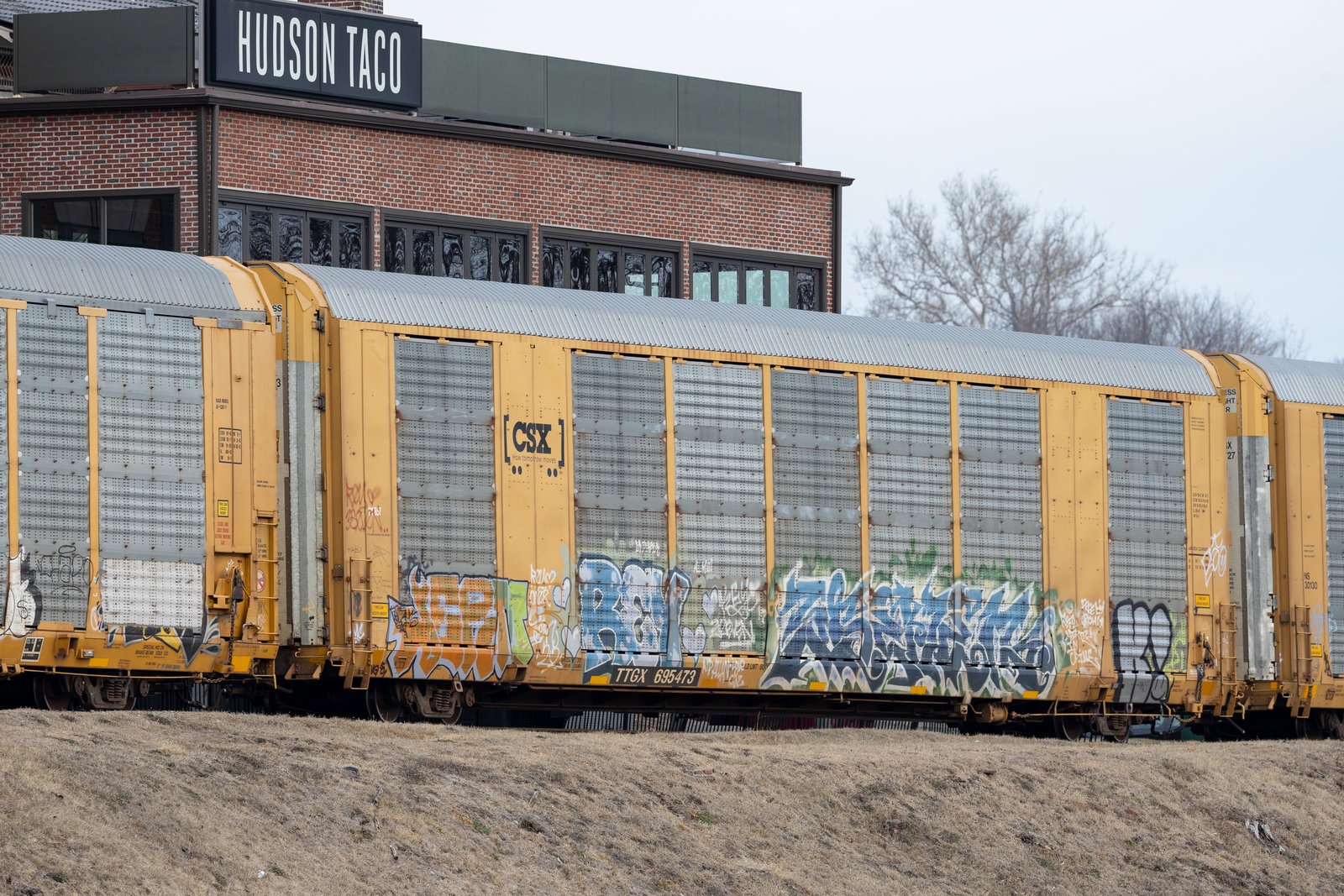 TTGX 695473
