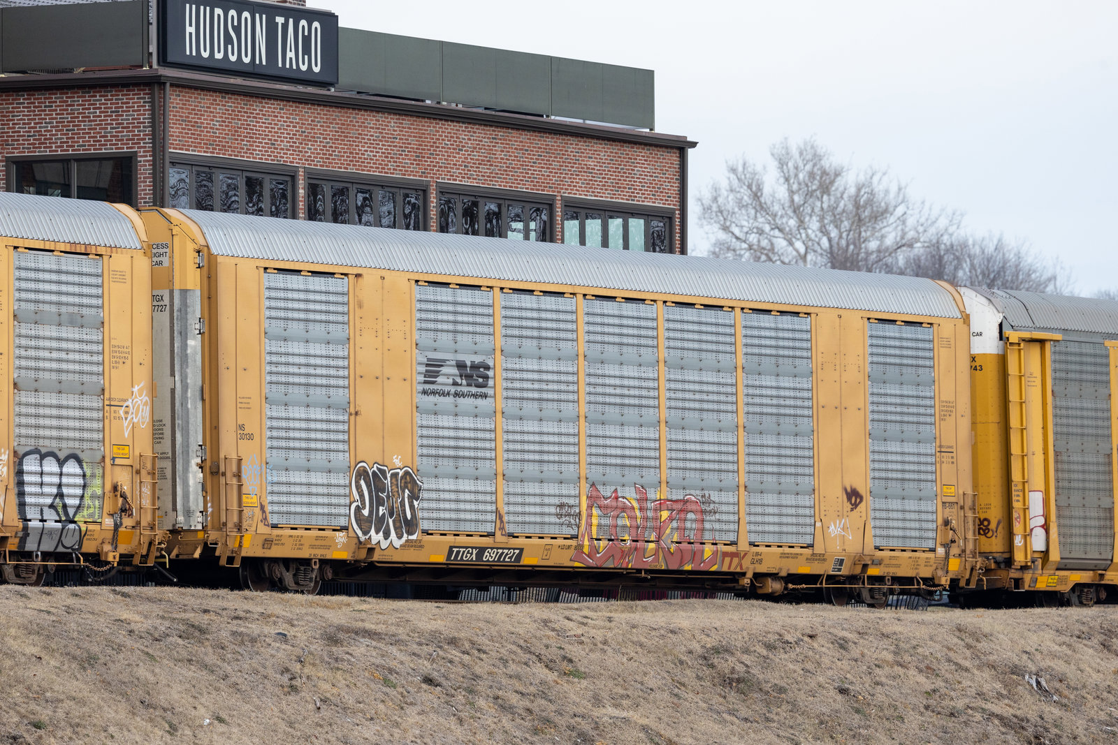 TTGX 697727