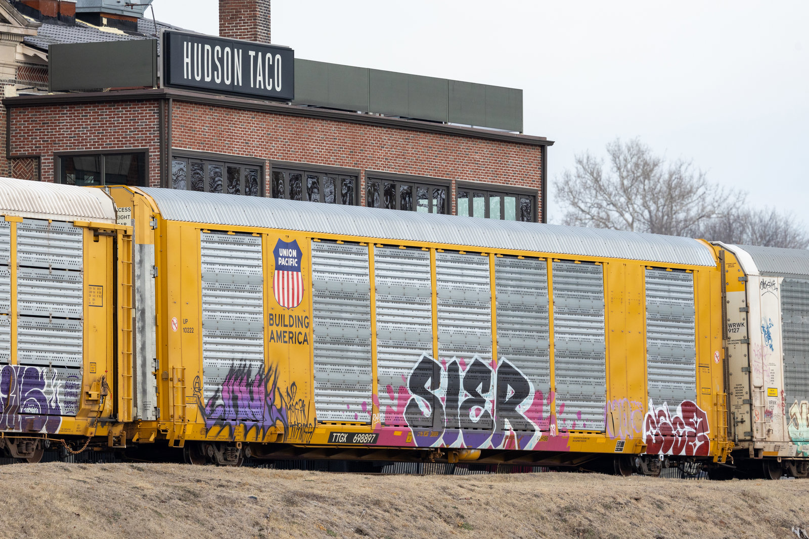 TTGX 698897