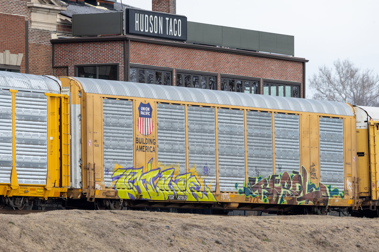 TTGX 821635