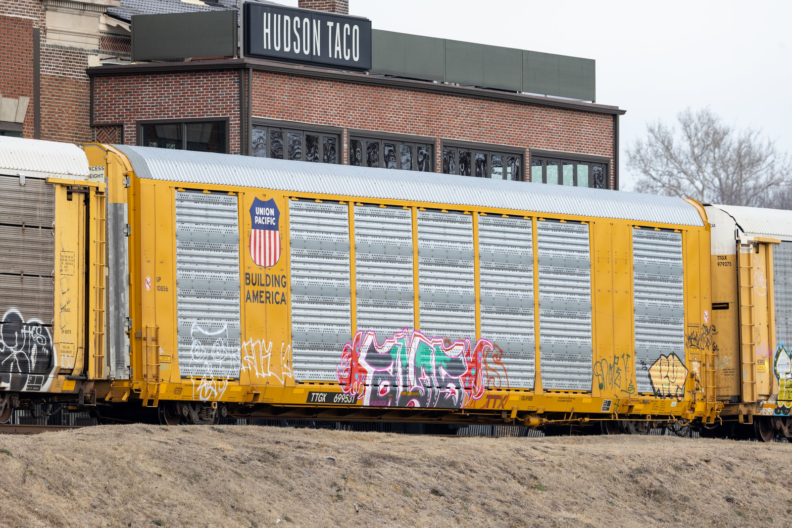 TTGX 699531