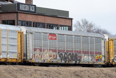 TTGX 705528