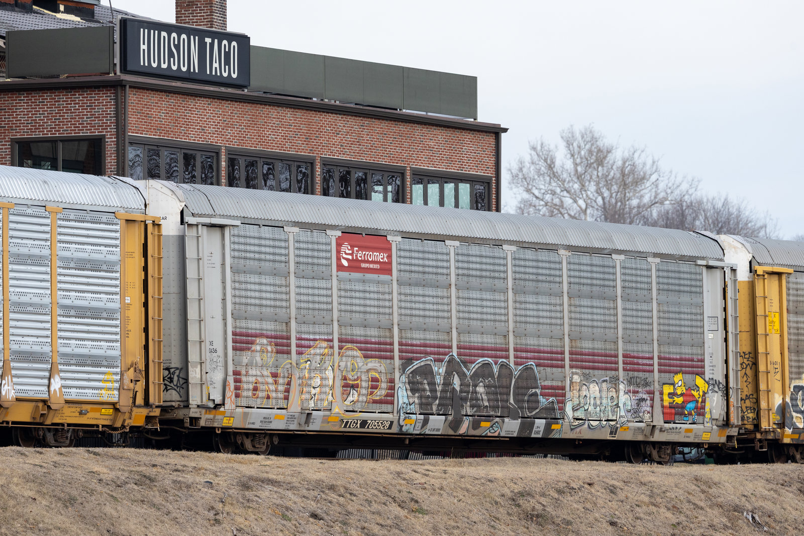 TTGX 705528
