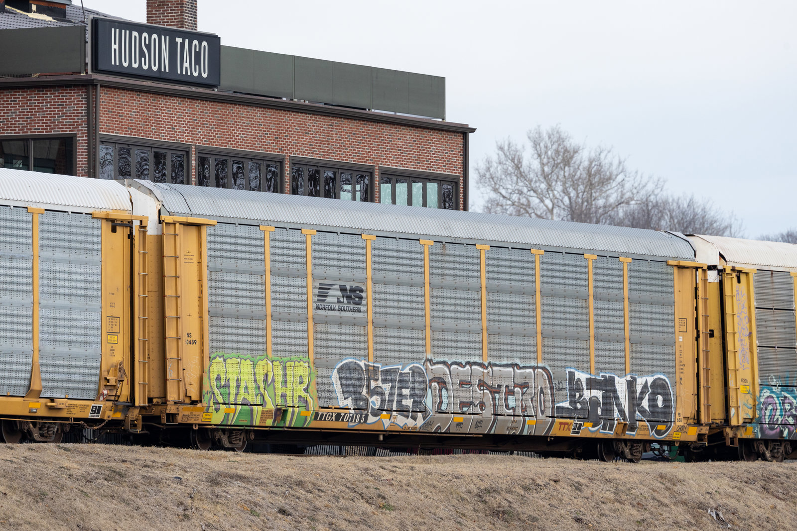 TTGX 707185