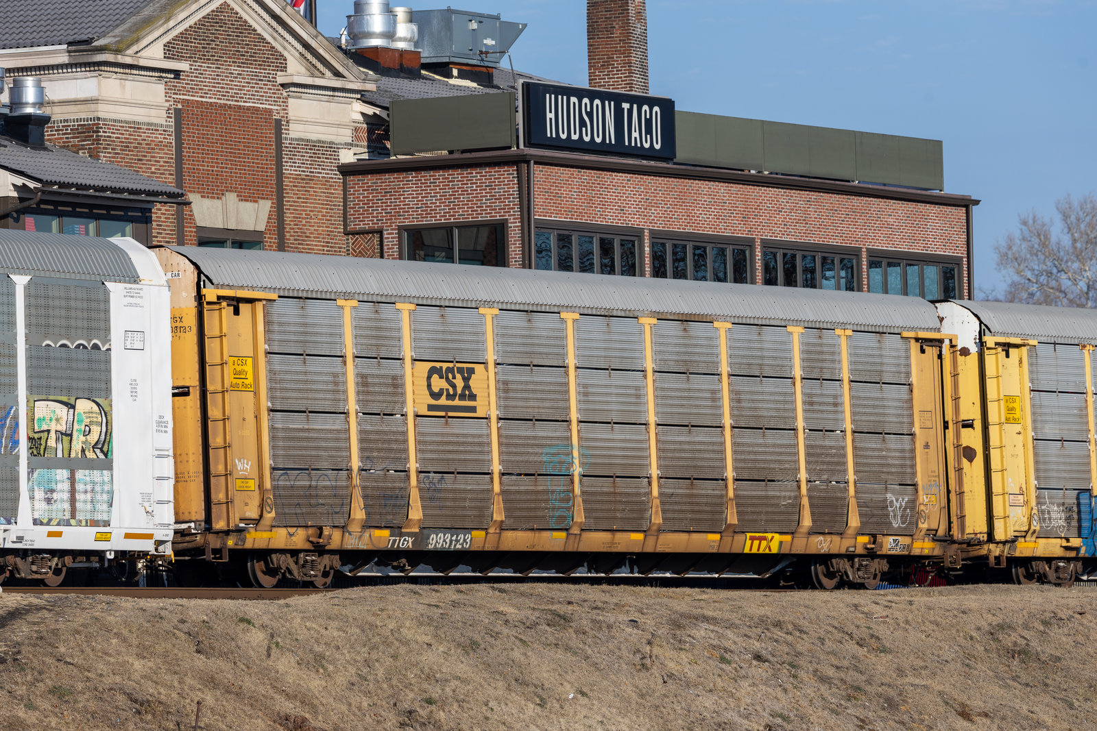 TTGX 993123
