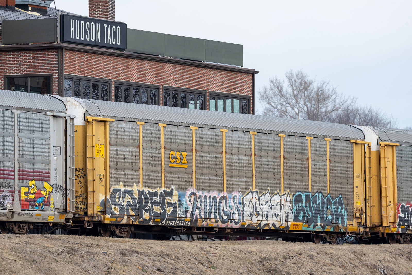 TTGX 952164