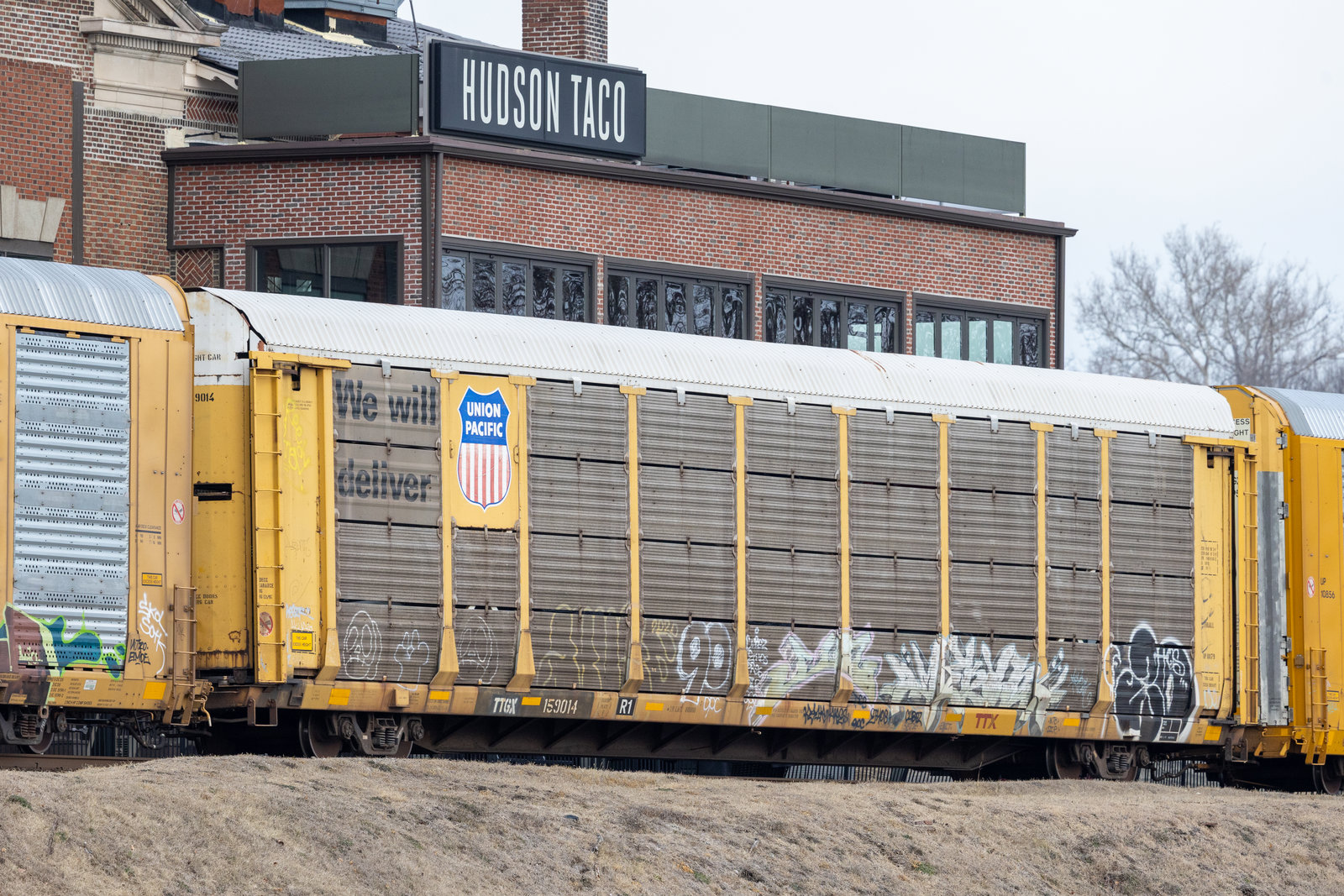 TTGX 159014