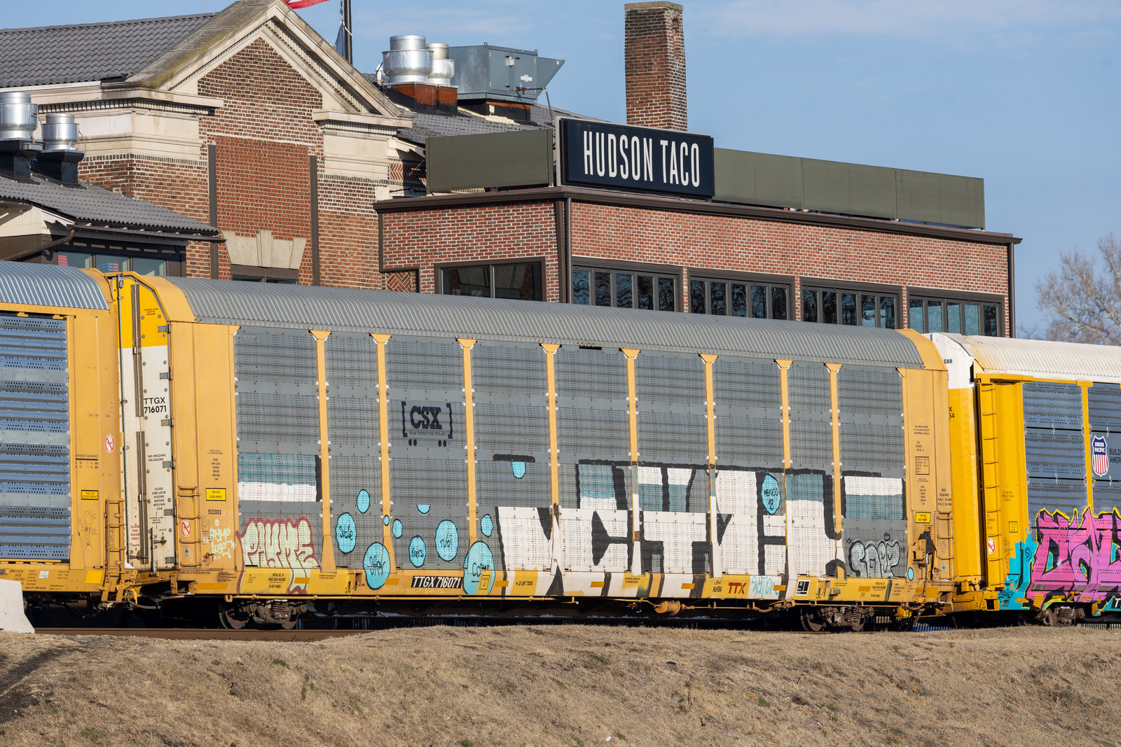TTGX 716071