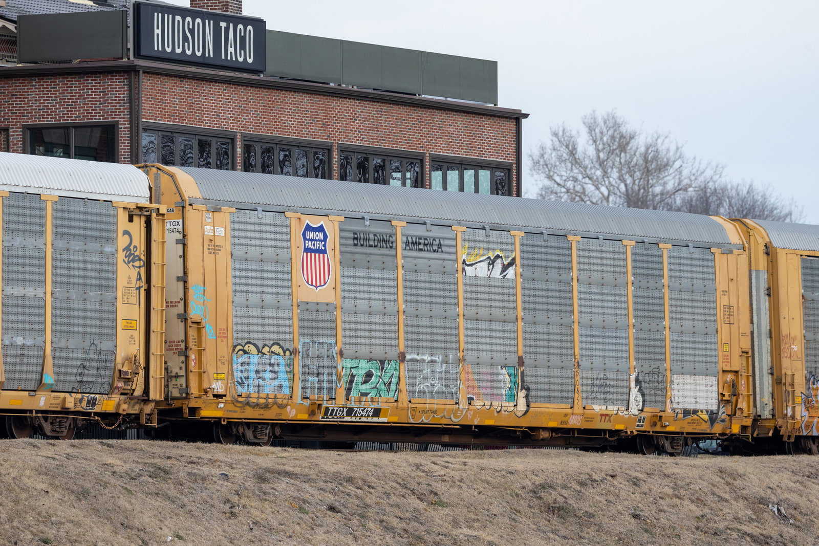 TTGX 715474