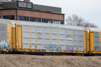 TTGX 709598