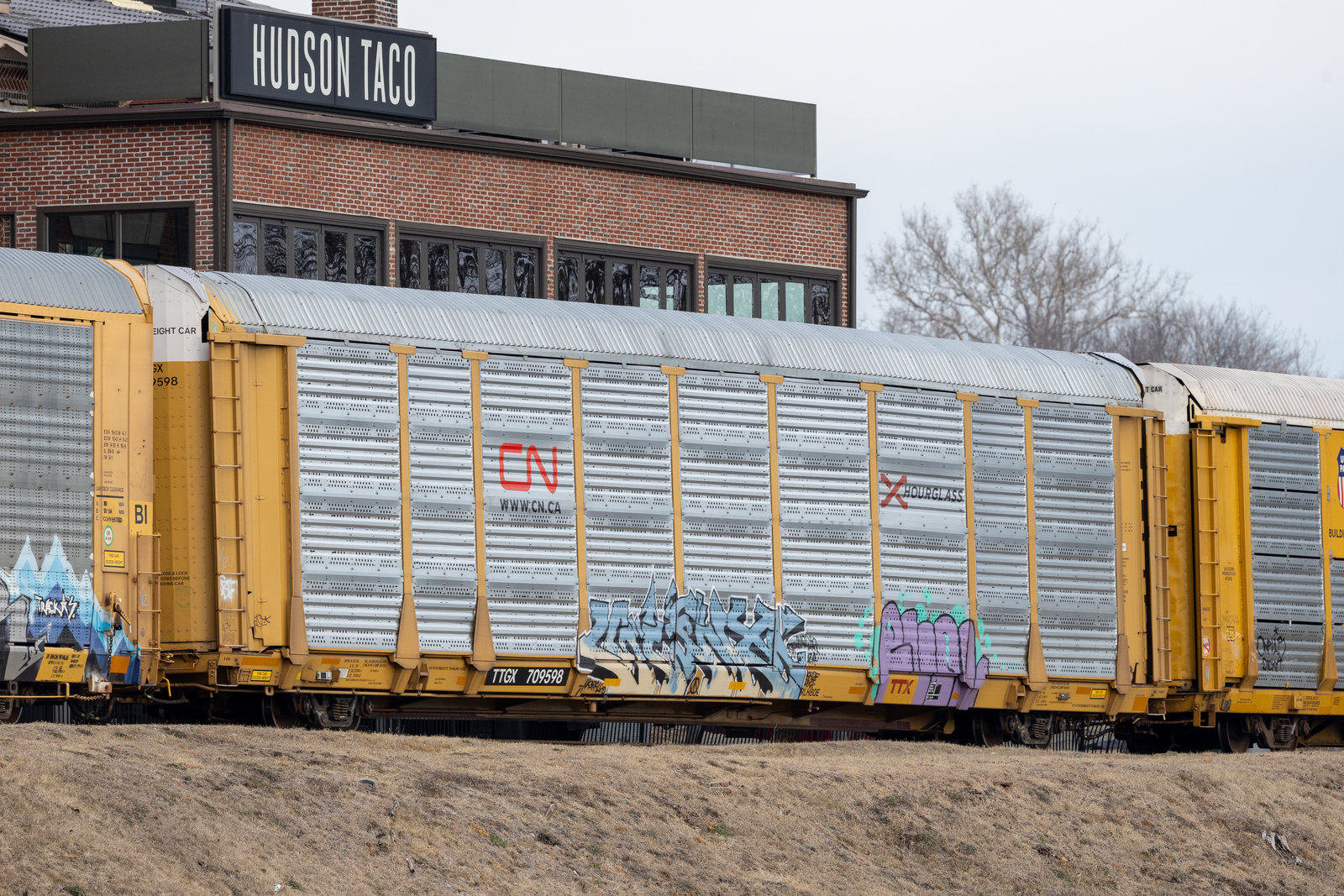 TTGX 709598